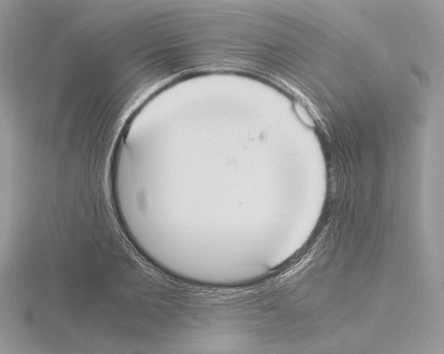 X0000115020885200912071025