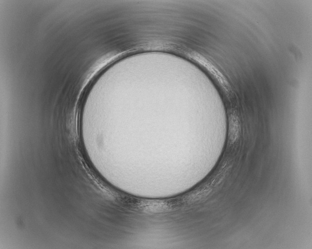 X0000115020886200912071025