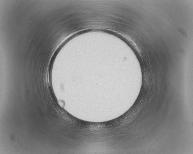 X0000115020887200912071025