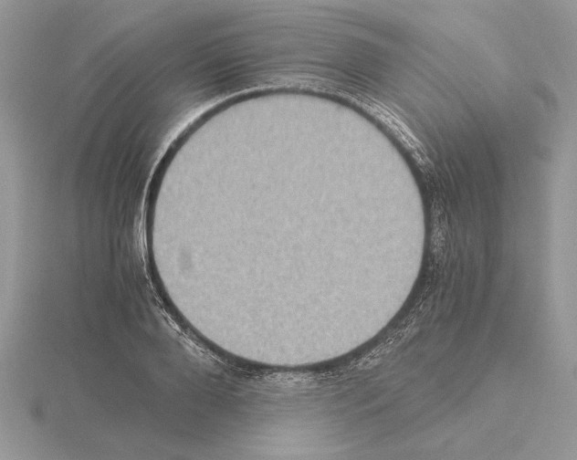 X0000115020888200912071025