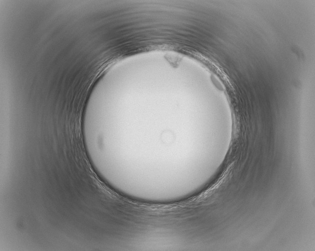 X0000115020889200912071025