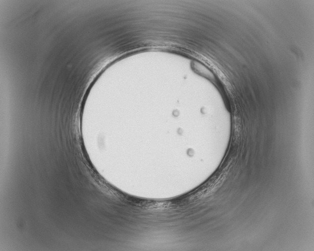 X0000115020891200912071025