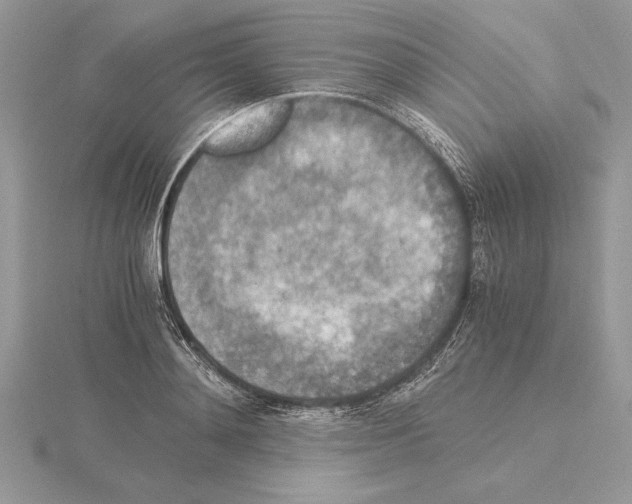 X0000115020892200912071025