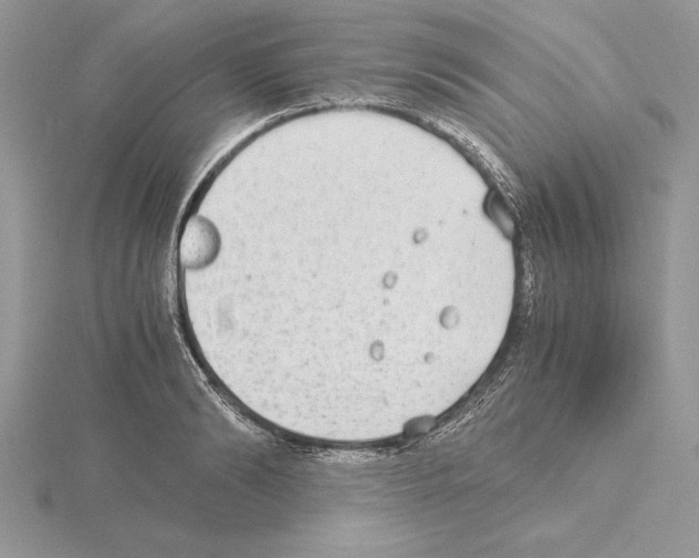 X0000115020894200912071025