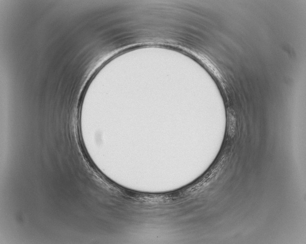 X0000115020895200912071025