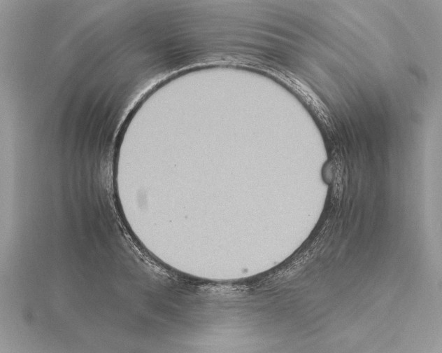 X0000115020896200912071025