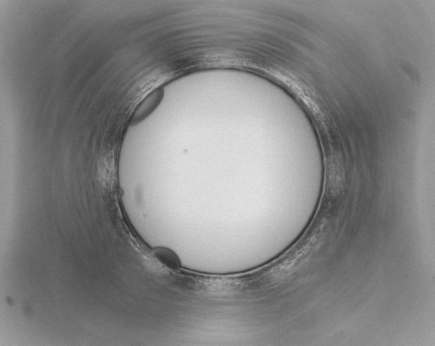 X0000115020897200912071025