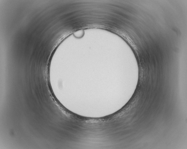 X0000115020898200912071025