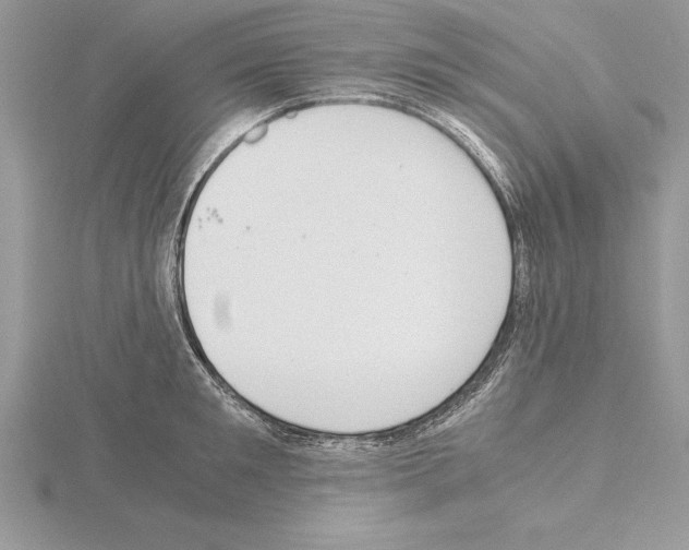 X0000115020901200912071025