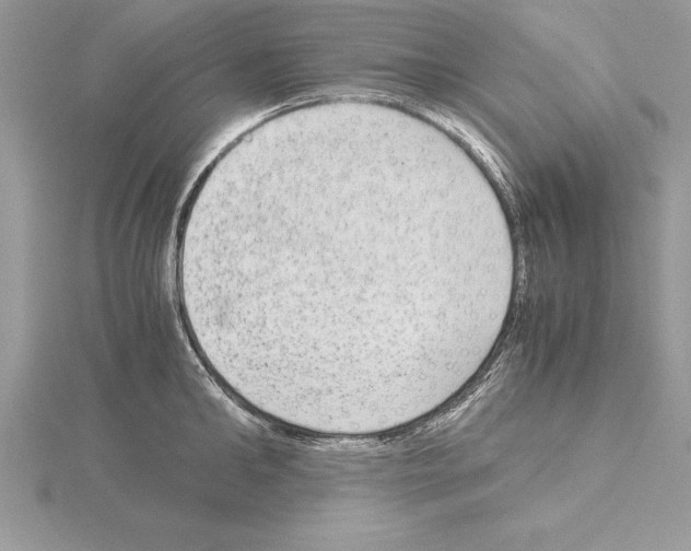 X0000115020902200912071025