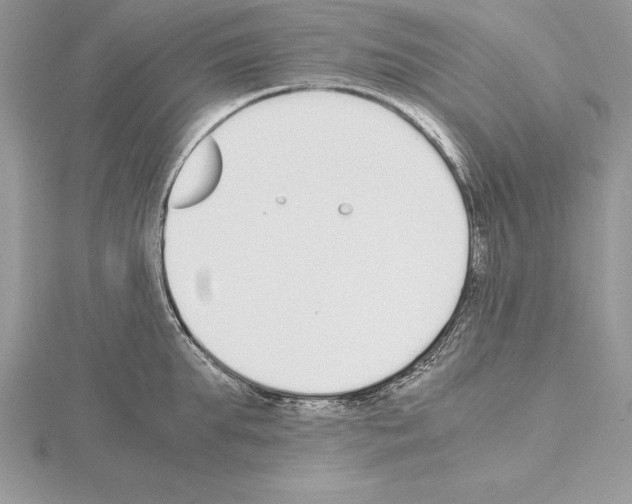 X0000115020903200912071025