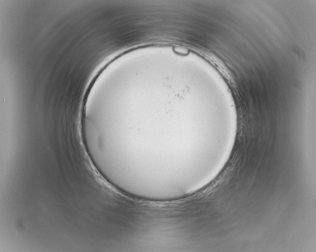 X0000115020904200912071025