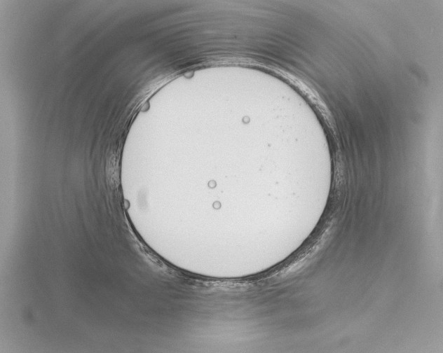 X0000115020905200912071025