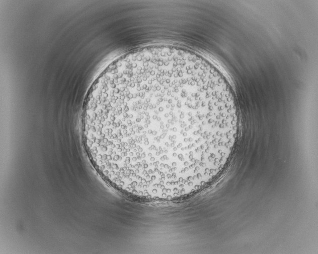 X0000115020906200912071025