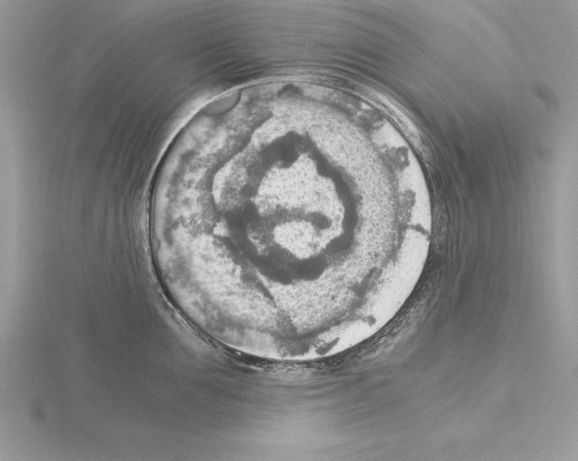 X0000115020907200912071025