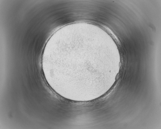 X0000115020908200912071025