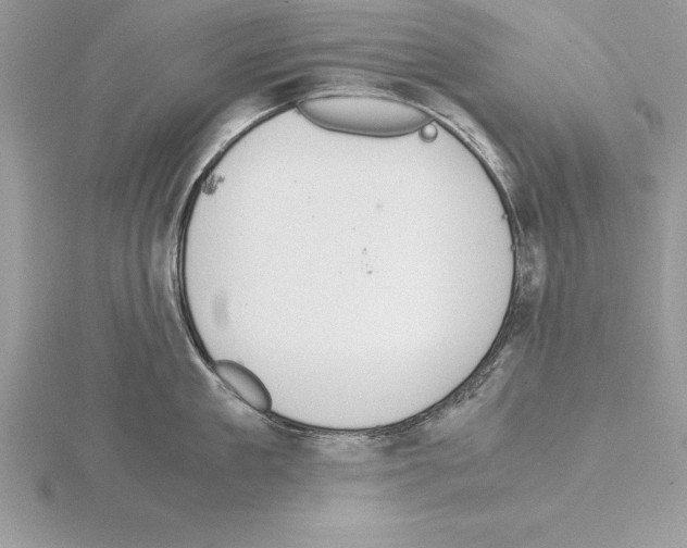 X0000115020909200912071025