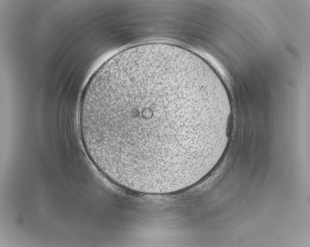 X0000115020910200912071025