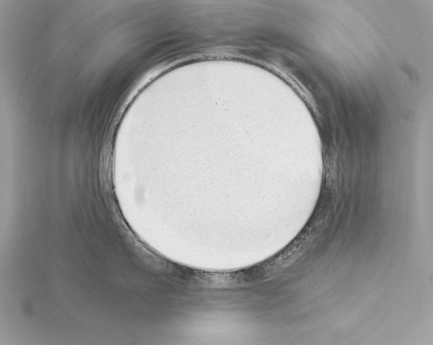 X0000115020911200912071025