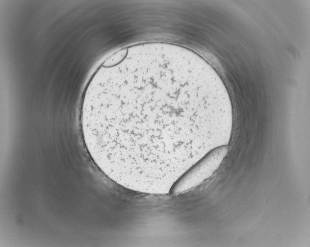 X0000115020912200912071025