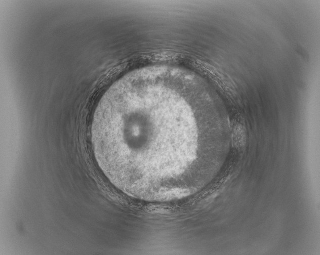 X0000115020913200912071024