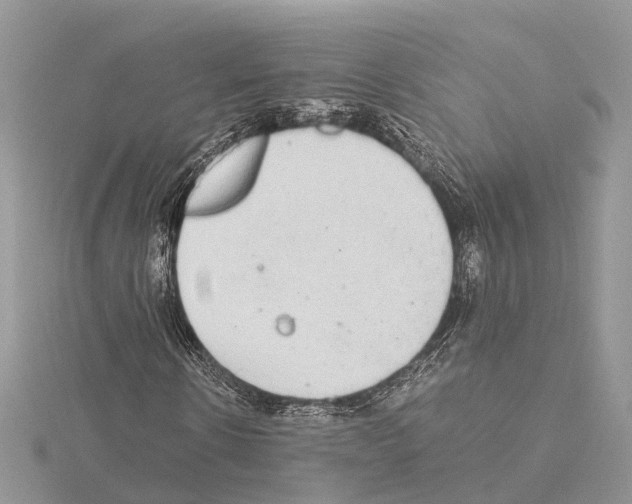 X0000115020914200912071024