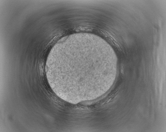 X0000115020915200912071024