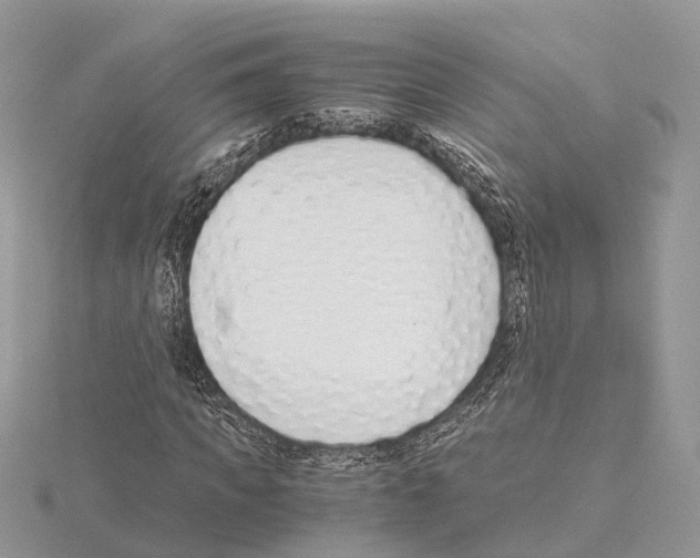 X0000115020917200912071024