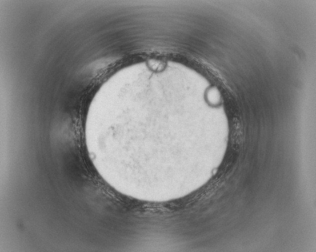 X0000115020918200912071024