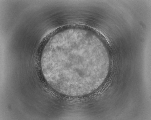 X0000115020919200912071024