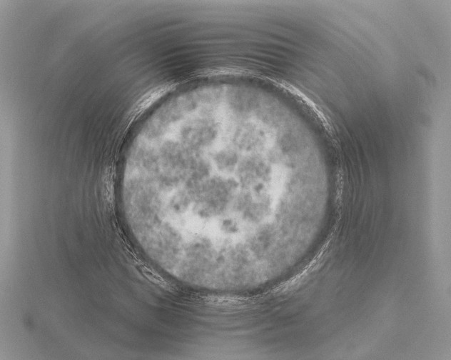 X0000115020921200912071024