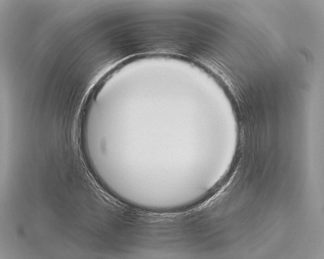 X0000115020925200912071024