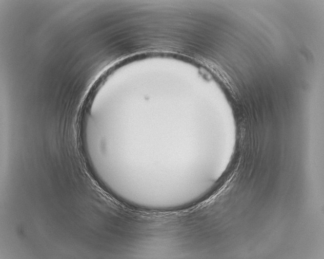 X0000115020926200912071024