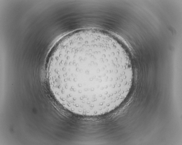 X0000115020927200912071024