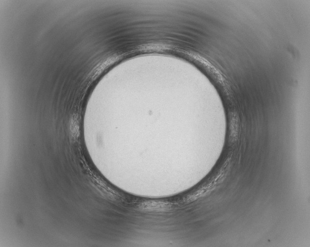 X0000115020929200912071024