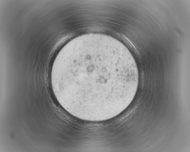 X0000115020930200912071024