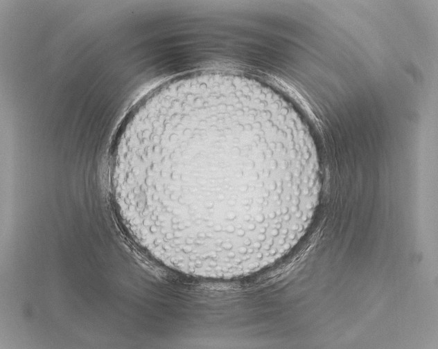 X0000115020931200912071024