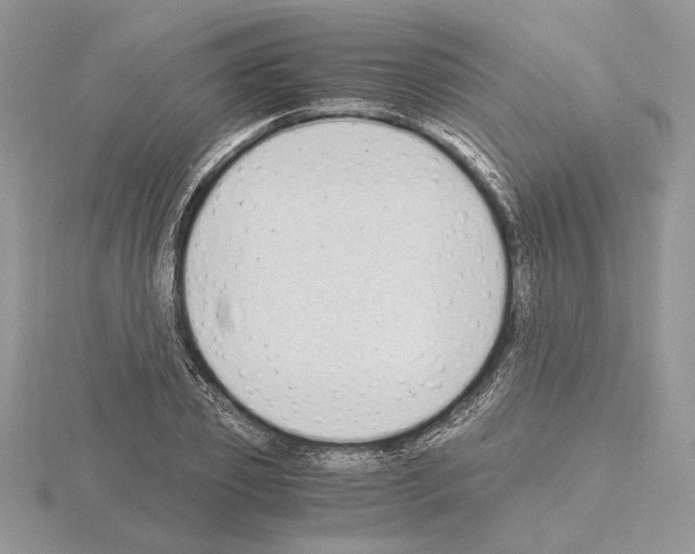 X0000115020933200912071024