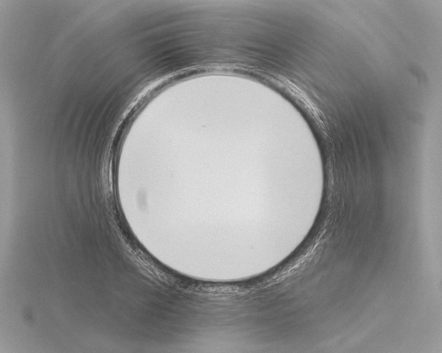 X0000115020934200912071024