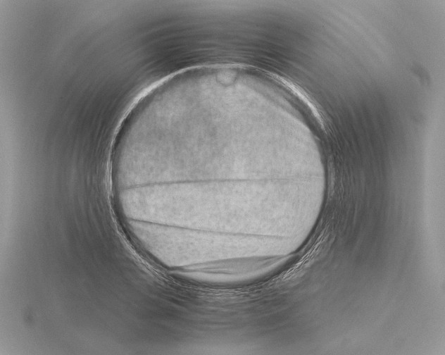 X0000115020935200912071024