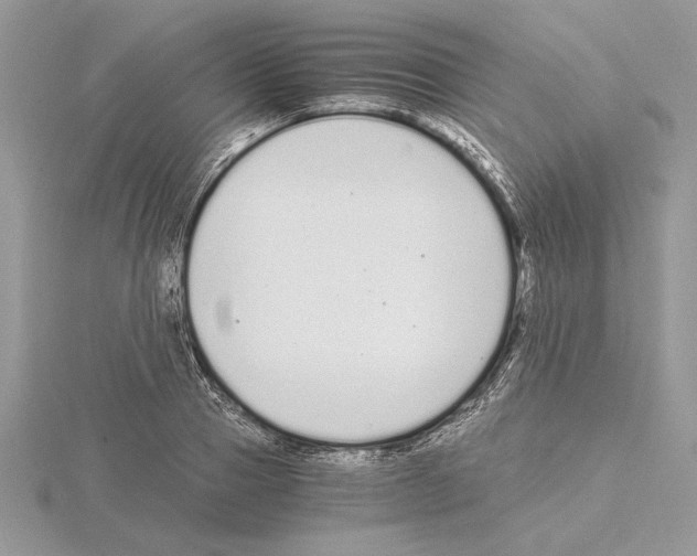 X0000115020937200912071024