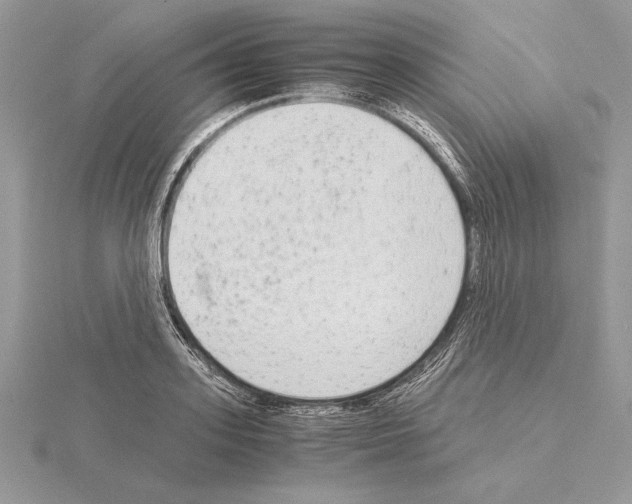 X0000115020939200912071024