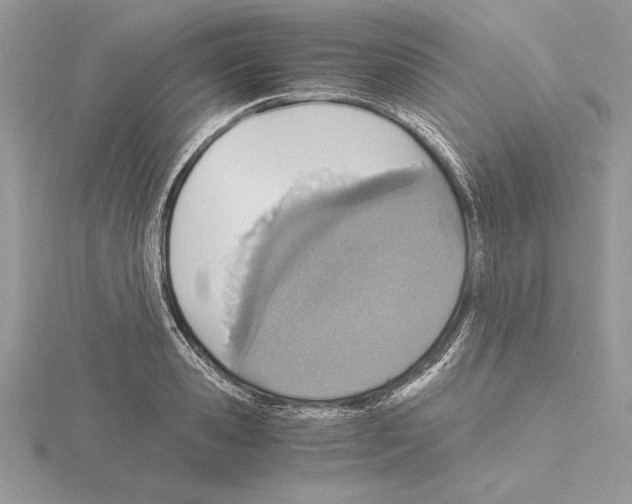 X0000115020941200912071024