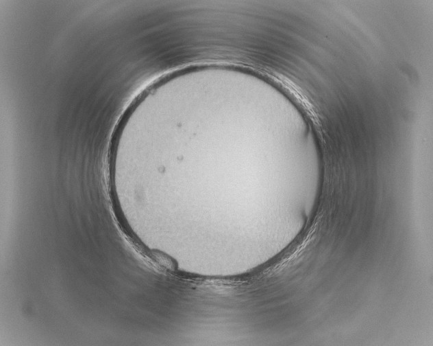 X0000115020942200912071024