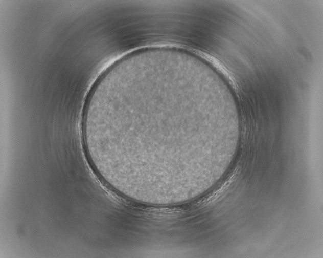 X0000115020943200912071024