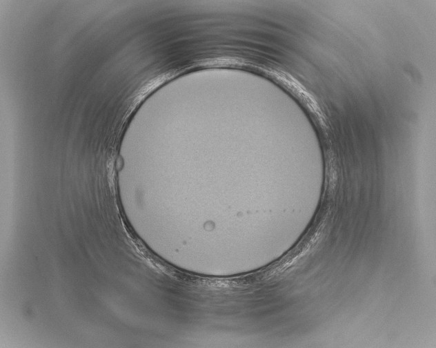 X0000115020945200912071024