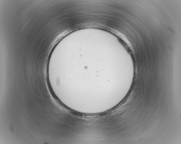 X0000115020946200912071024