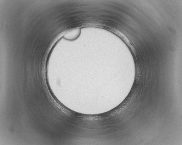 X0000115020947200912071024