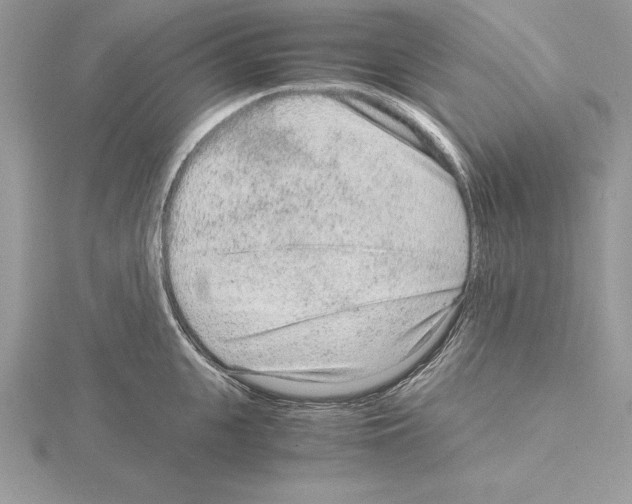 X0000115020951200912071024