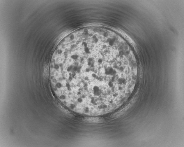 X0000115020953200912071024